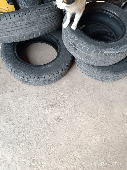 R13 175/70 damasdan yechlgan