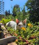 Котак на 1 година