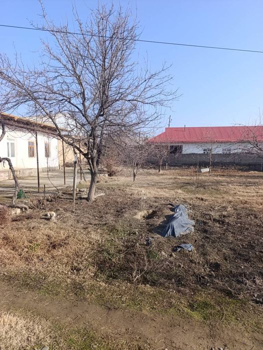 Жума шахрида 10 сотихли ховли сотилади