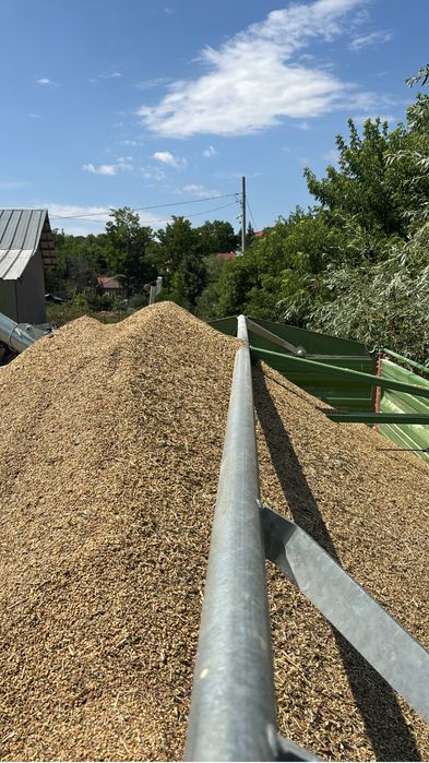 Sparceta productie 2025