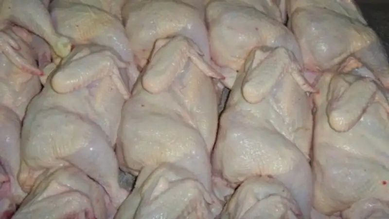 Скидка!!!Домашний бройлеры