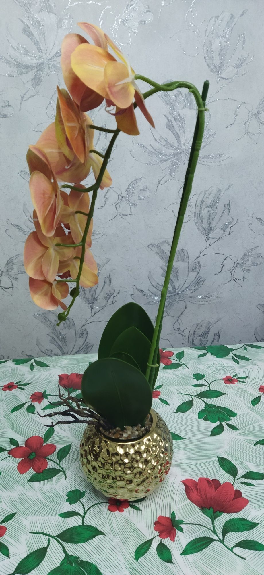 Прекрасный цветок Орхидея