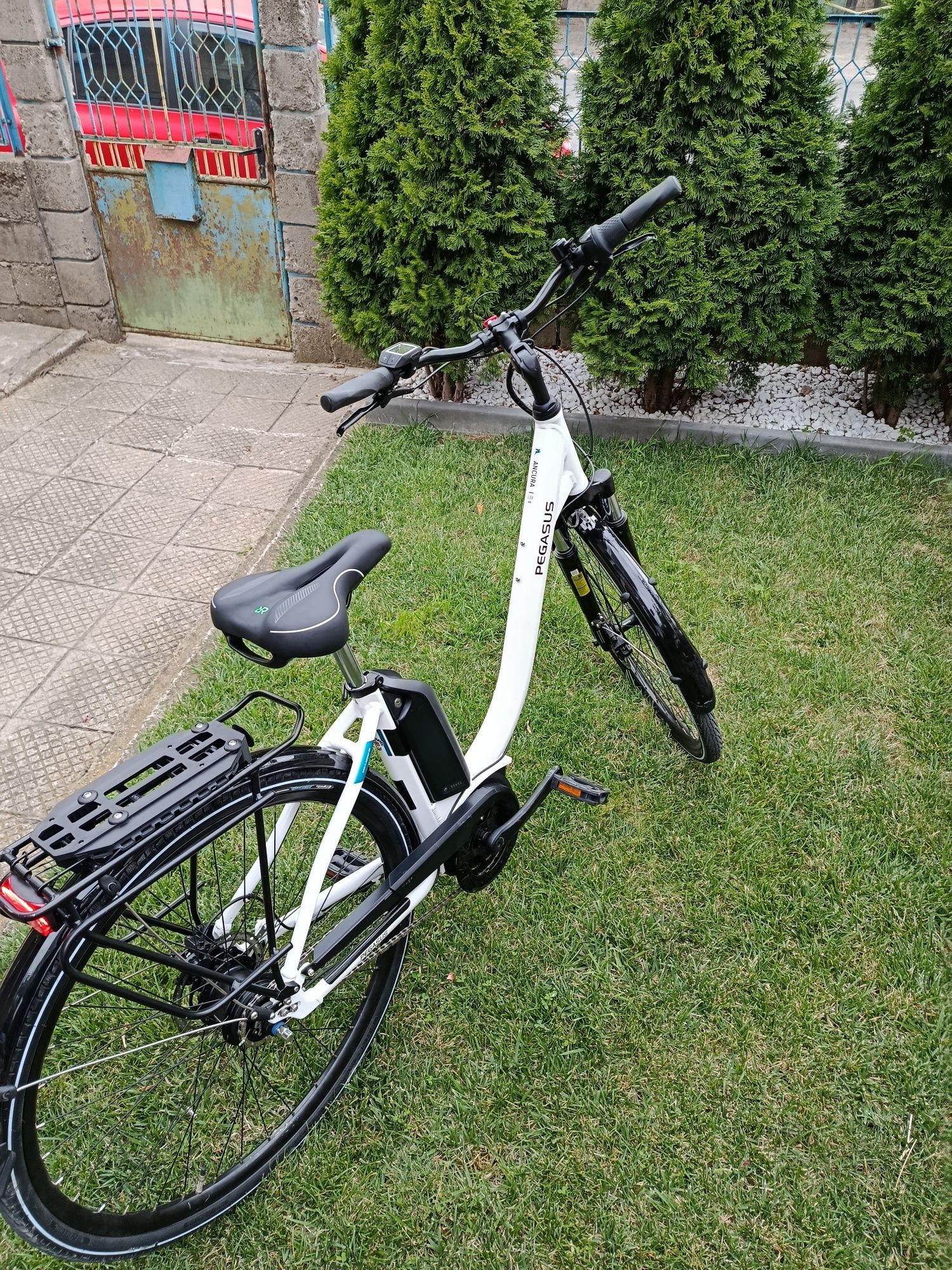 Pegasus Ancura E8R Disc 28