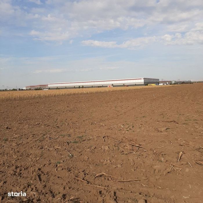 Teren, zona industriala, in Domnesti. Tarlaua 7, depozitele Logistics