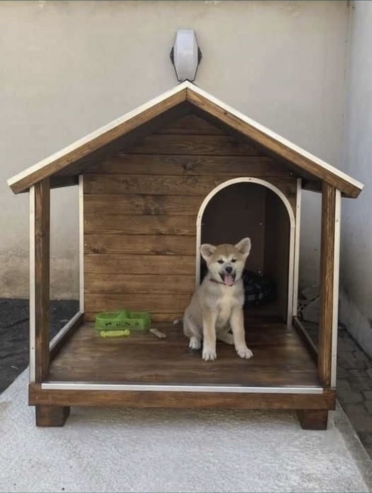 Кучешки къщи, къща за куче