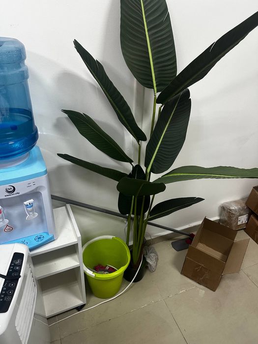 Кулер офисный 3 штуки