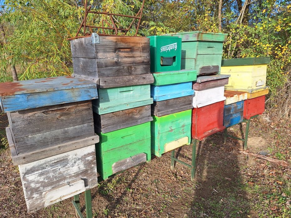 Cutii de stupi in stare buna!