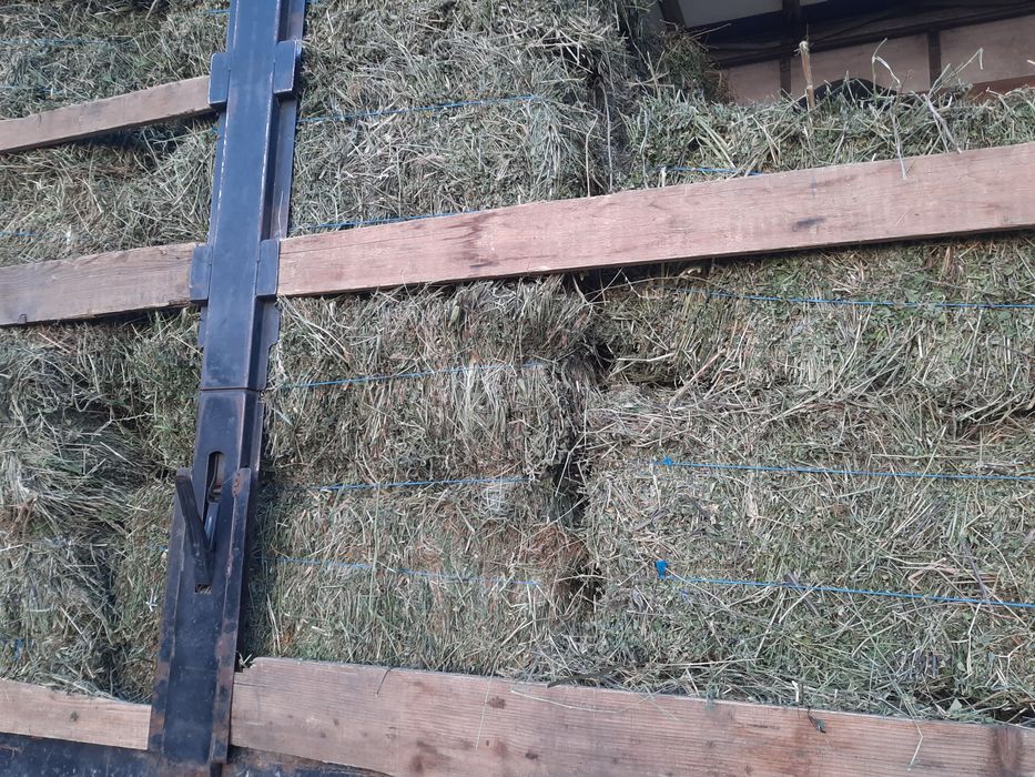 Vând baloti de lucernă.