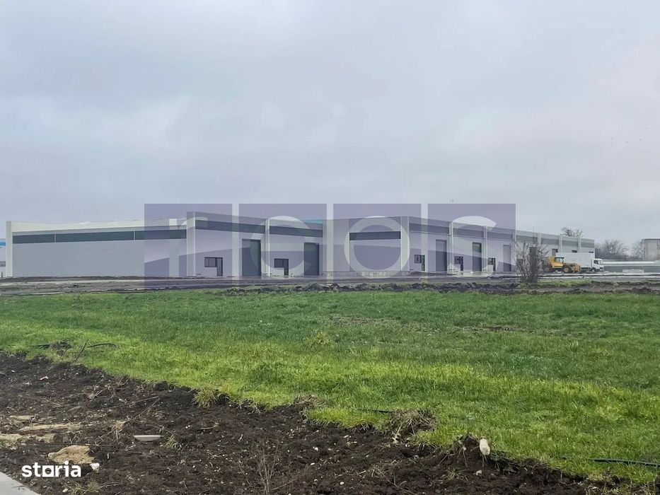 De inchiriat hala in Mogosoaia cu iesire la Centura Bucuresti