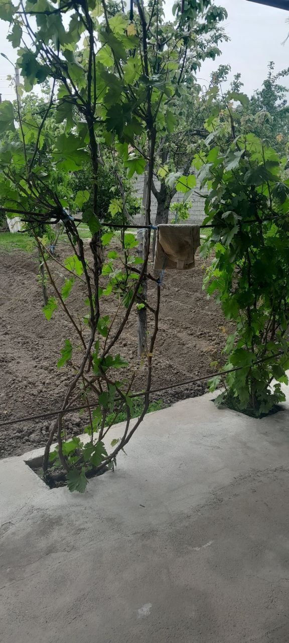 Уй сотилади ховли.