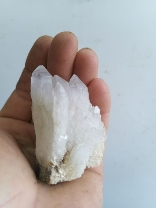 Chuarț cu fulgi de aur