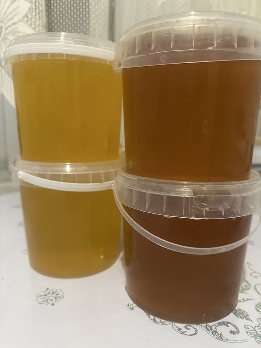 Мёд свежий с собственной пасеки