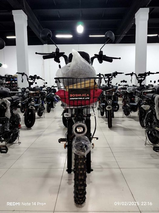 Elektra velosoped/ Monster/ Velosoped elektro