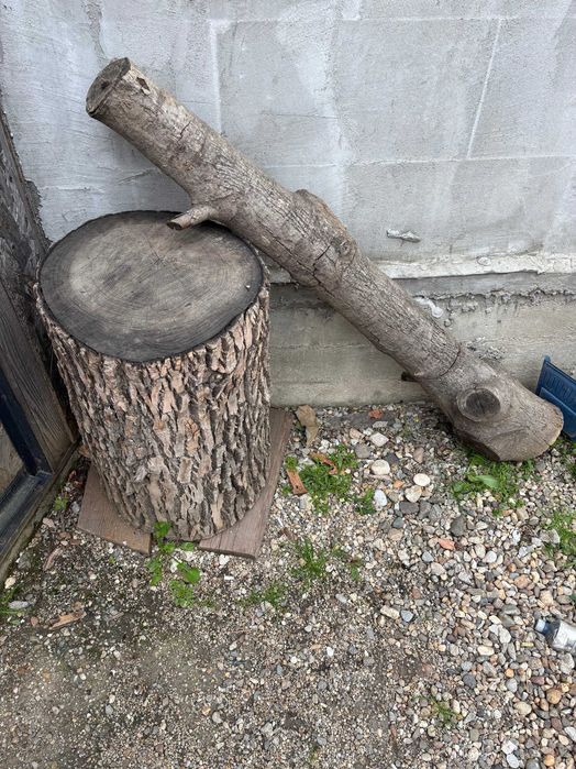 Vand lemn nuc si frasin