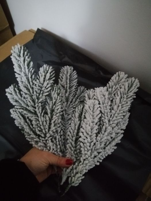 Crenguțe brad ninse 20 și 30 simple