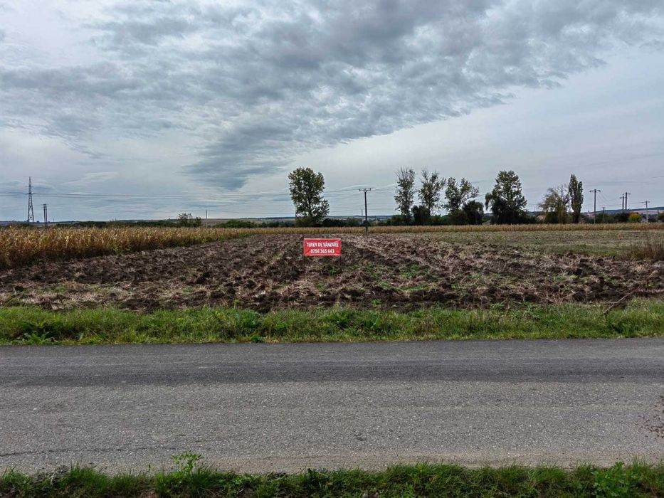 Proprietar vand teren !!!