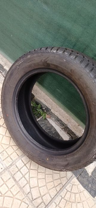 Зимни губи LEAO 205/55 R16 2бр