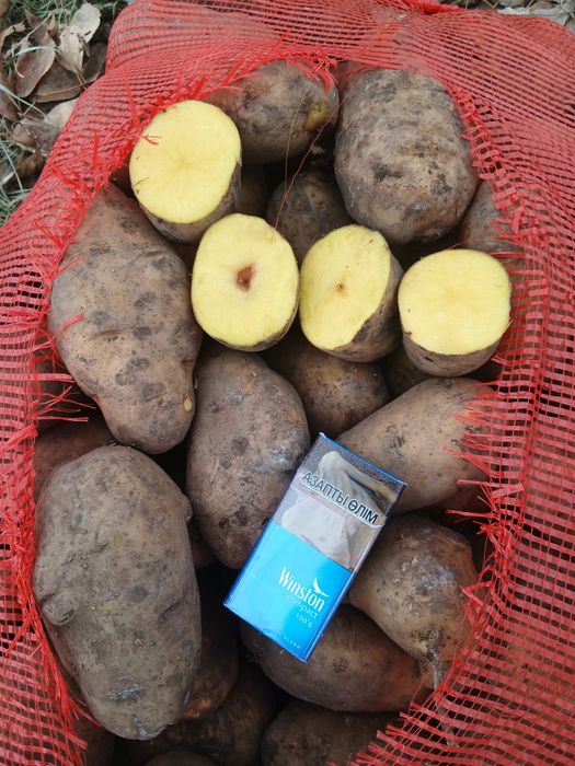 Картофель 2-й  сорт.