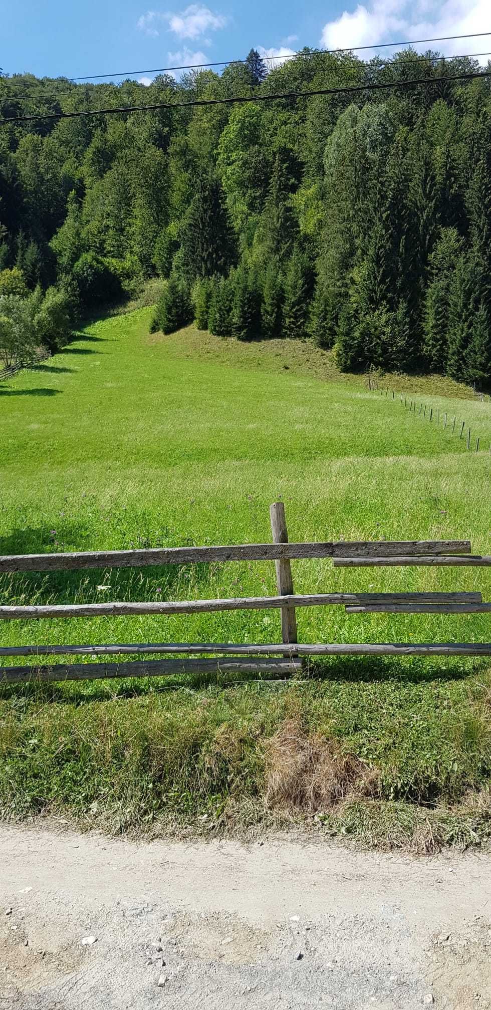 Parcele Teren comuna Rucăr, zona Râușor