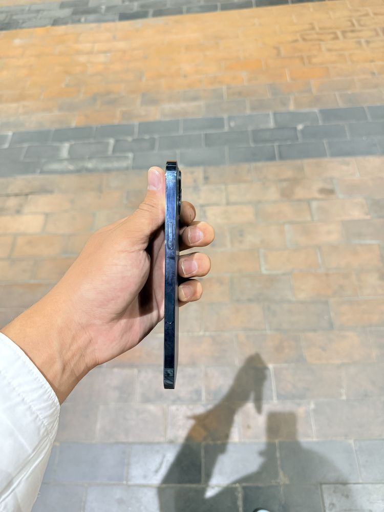Iphone 12 pro max 256 gb