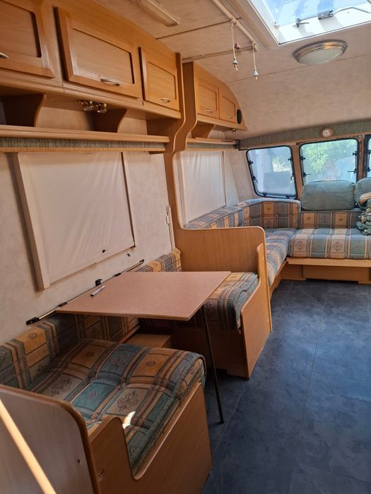 Rulota Elddis inmatriculata