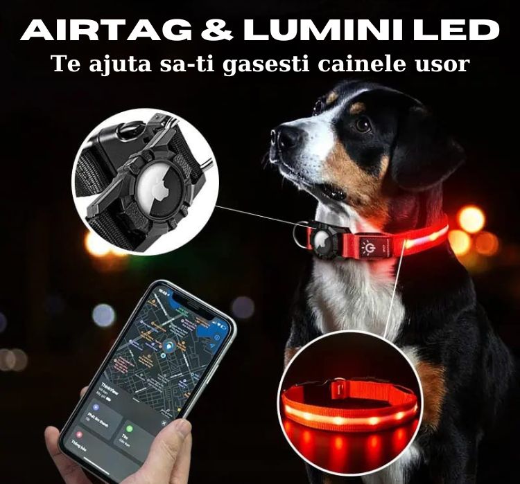 Zgarda pentru caini, cu lumina LED,suport compatibil AirTag, marimea M