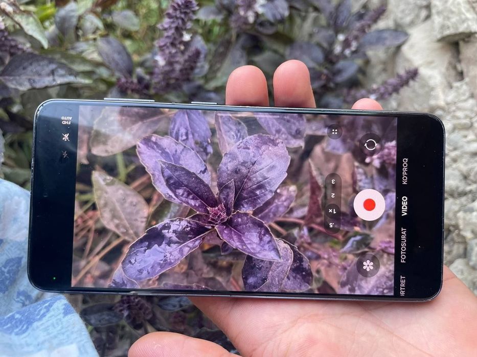 Samsung Galaxy S22 5G 
 Kor dok: yuq bularda bulmaydi
 Xotira: 256/8+8