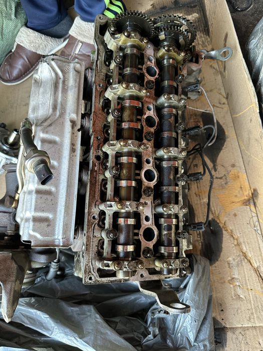 Chiloasa completa N47D20C