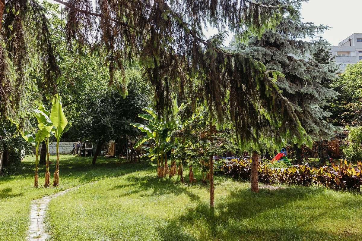 Chirie Apartament Ultracentral la Casa Mobilat Oradea Baraganului