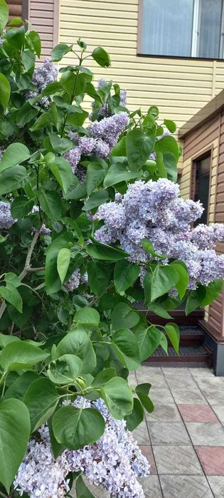 №3080 Продам 2х этажный коттедж, 9а микрорайон или обмен на квартиру!