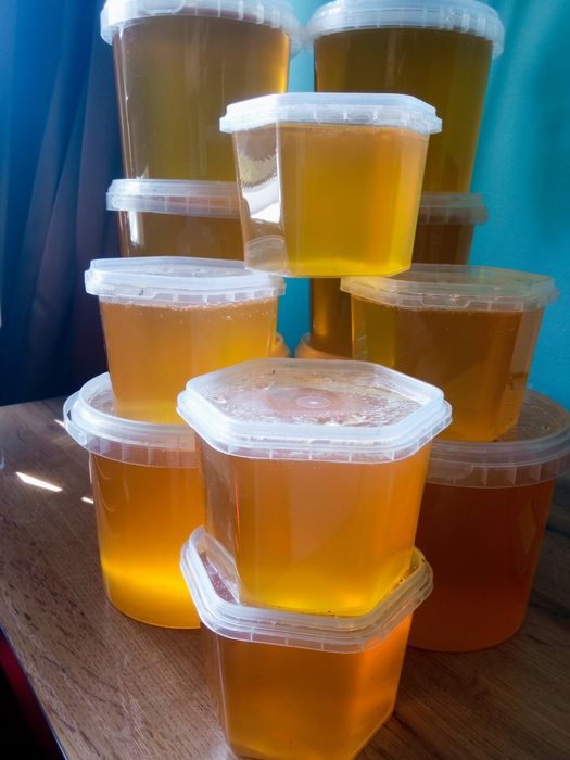 Высокогорный МЁД