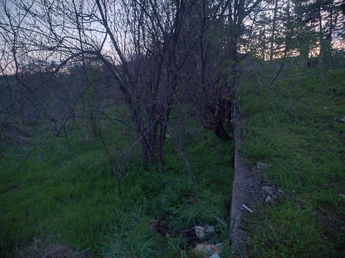Село Цани Гинчево дворно място