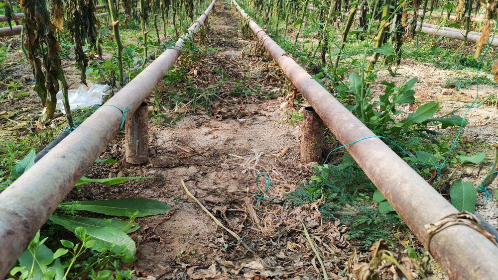 Truba 40 talik 50 talik