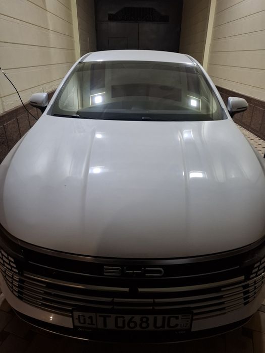 Byd chazor 1pozitsa 55km