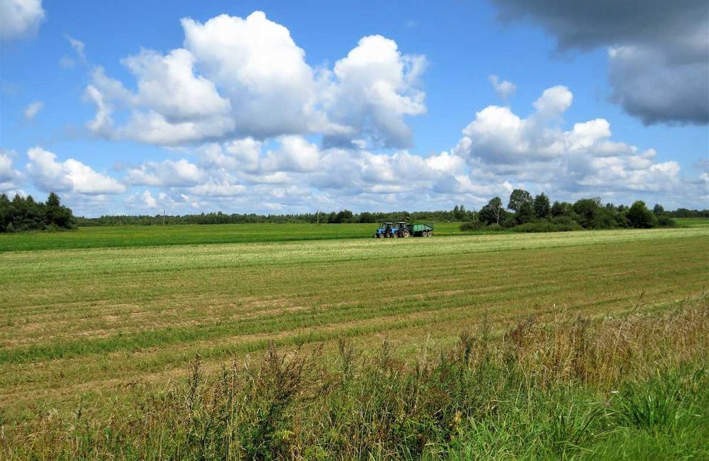 Участок 3 га в Шелек (Чилик)  меняю на авто или продам.