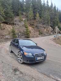 Vand Audi A3 8P quattro