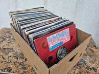 Vând Lot 200LP (bucati) Discuri Vinil colectie muzica usoara mixta

-