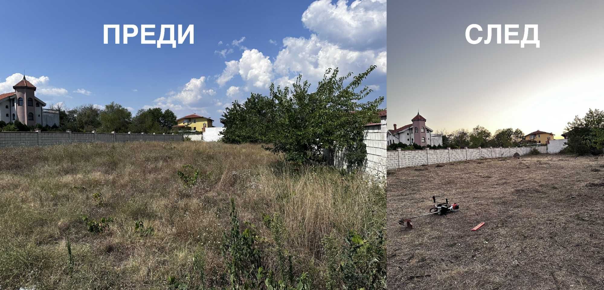 Почистване на Дворове и Парцели (Рязане на дървета)