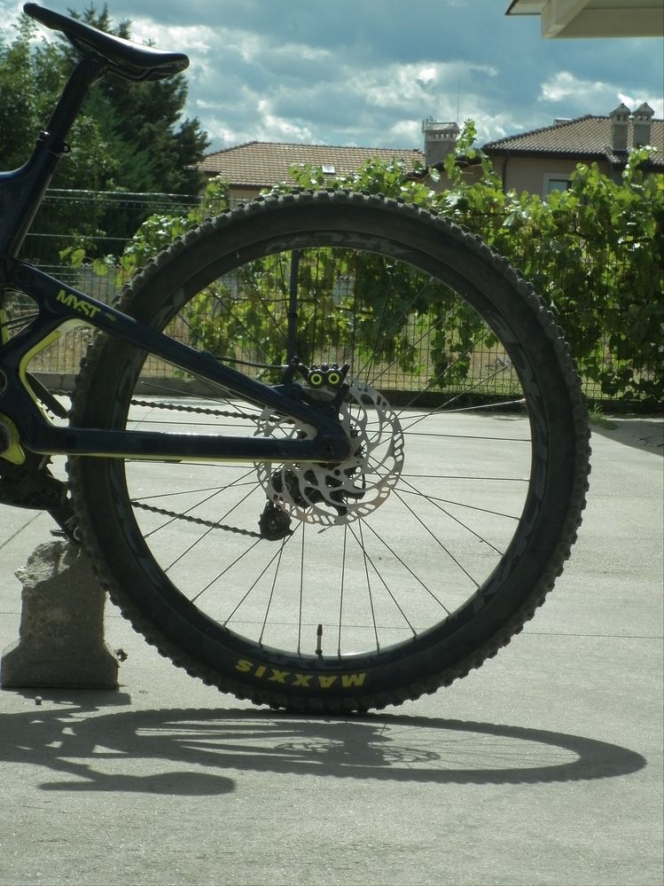 Saracen myst pro carbon 2021 размер L