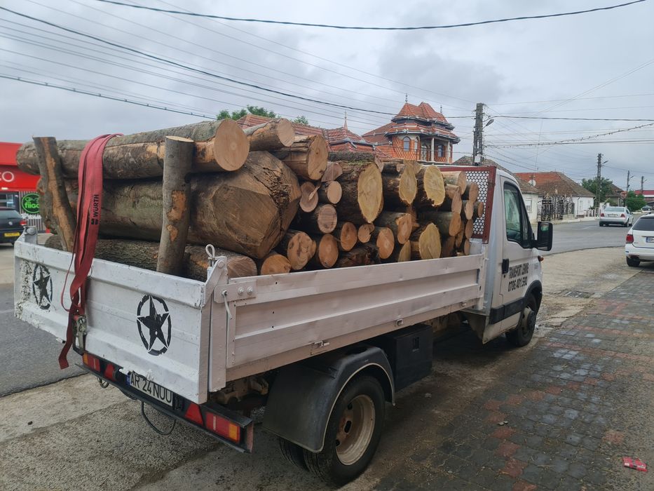 Transport lemn de foc jud Arad şi Bihor, fag, carpen, cer, stejar, rug