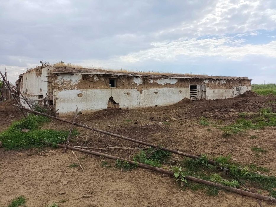 Сдам в аренду животноводческую базу