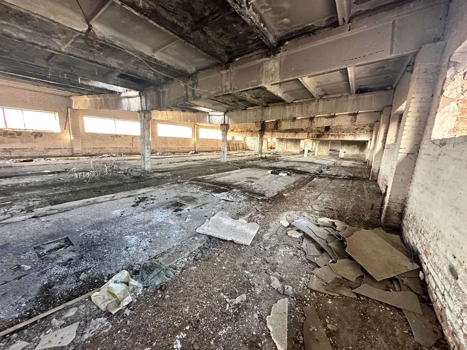 В продаже База новоявленка Алаш 1