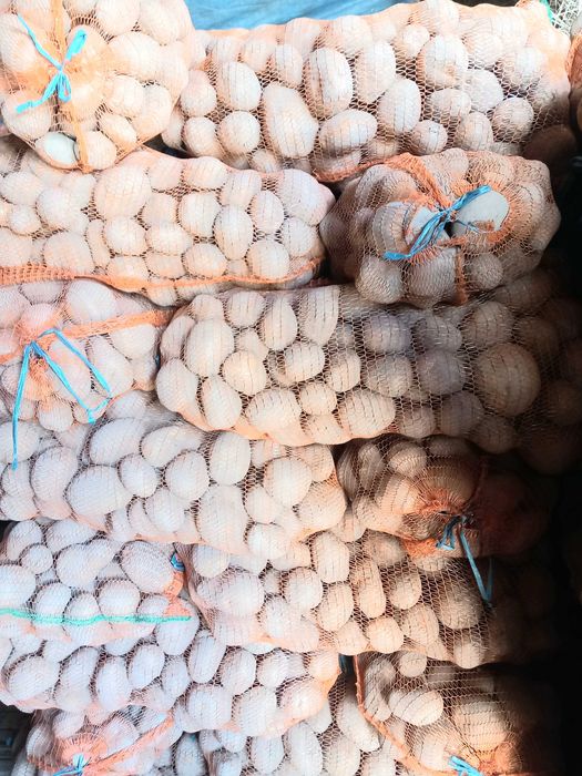 Cartofi paradiso 55+