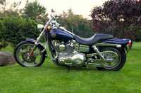 HARLEY DAVIDSON 2002 Dyna CVO FXDWG3 - unicat in RO