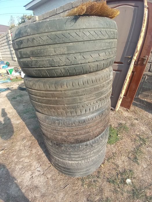 автомобильные шины летние