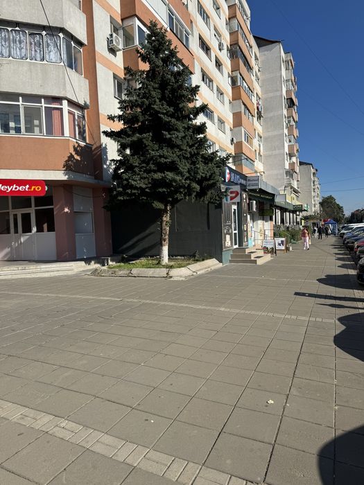 Botosani de inchiriat 147 mp  srada Calea Nationala nr. 67 Botosani