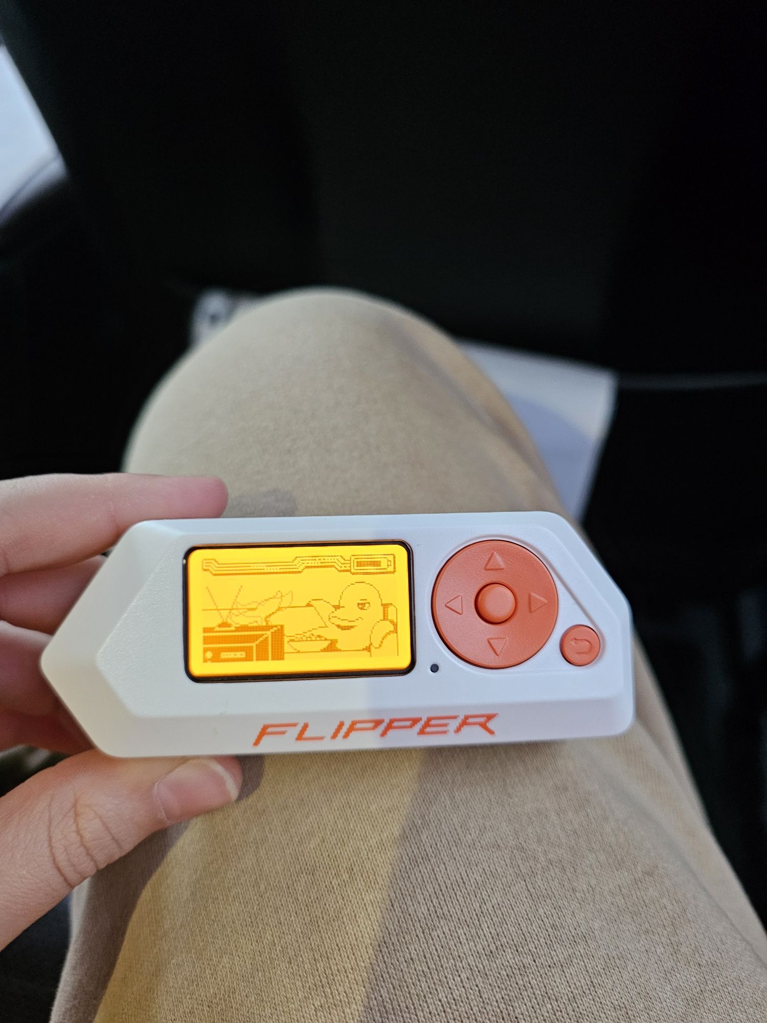 Flipper zero + WiFi development board