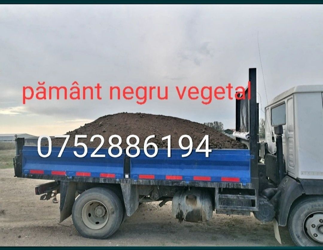 Pământ negru vegetal