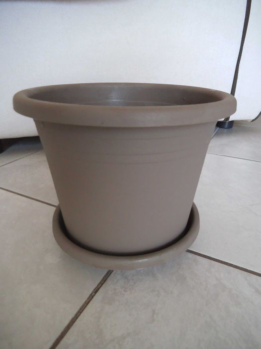 Саксии - керамични, пластмасови