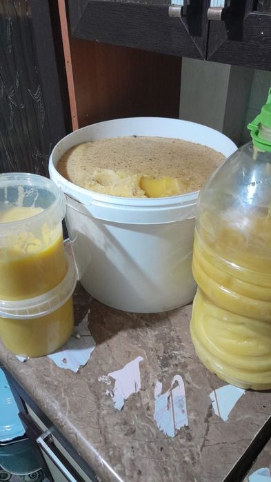 Шығыстын таза баллы